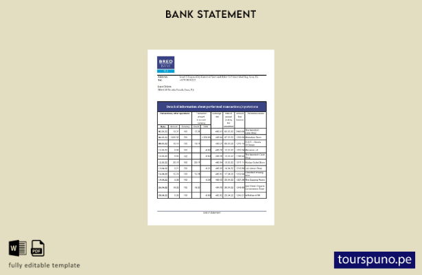 Plantilla de Excel de extracto bancario de Fiji Bred lista para imprimir