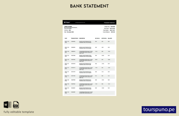 Plantilla de Word   declaración de transacción de Nigeria Chipper lista para imp