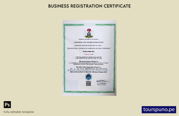 Plantilla de certificado de registro de Nigeria lista para imprimir