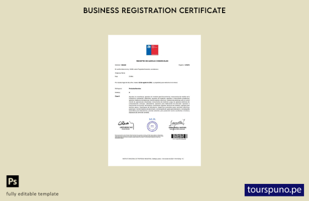 Plantilla de licencia de registro comercial de China lista para imprimir