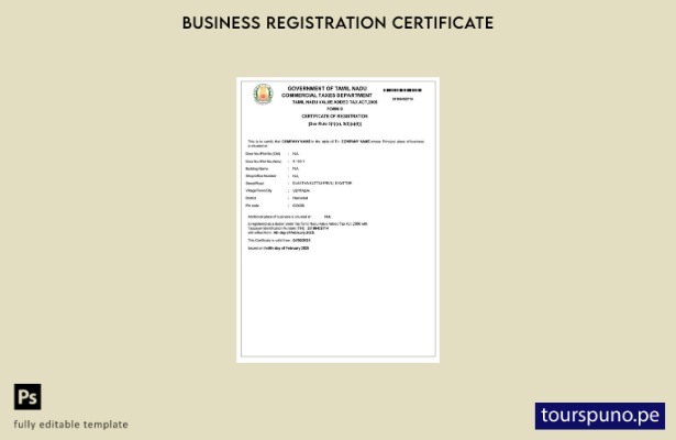 listo para imprimir India Tamil Nadu Certificado de registro de IVA Plantilla en