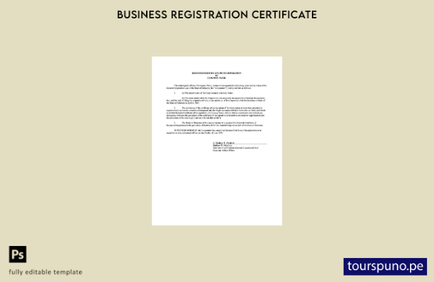 listo para imprimir Plantilla de certificado de constitución de EE. UU. de Delaw