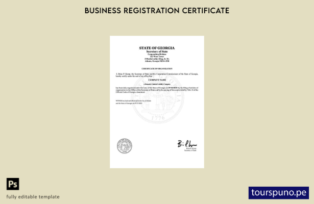 listo para imprimir Plantilla de certificado de organización de EE. UU. Georgia