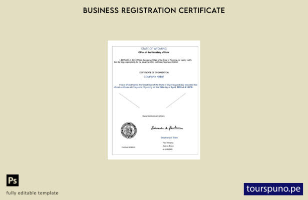 listo para imprimir Plantilla de certificado de organización en Word y PDF de EE