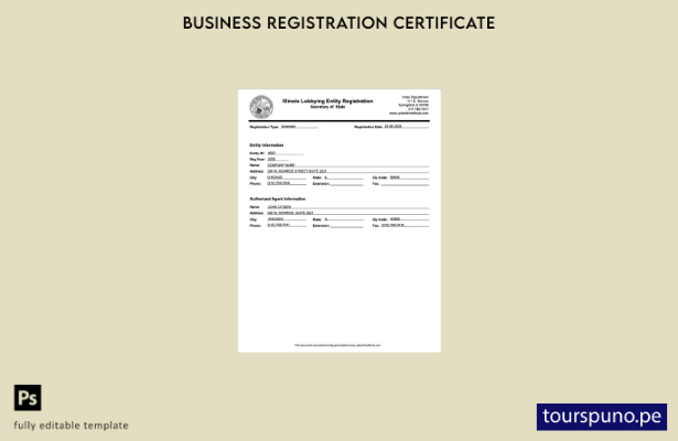 listo para imprimir Plantilla de certificado de registro de EE. UU. Illinois Pla