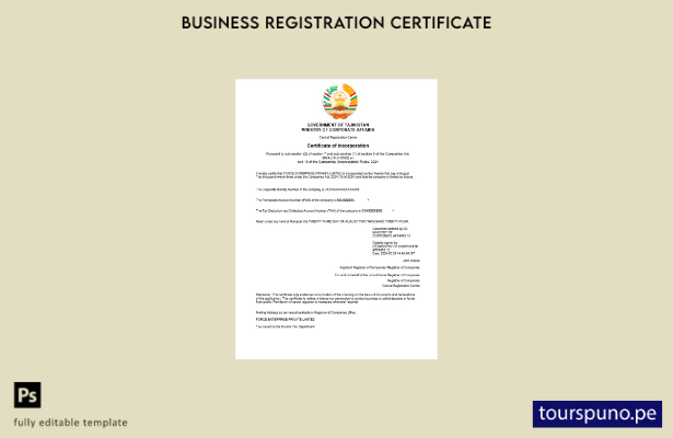 listo para imprimir Plantilla de certificado de registro empresarial de Tayikist