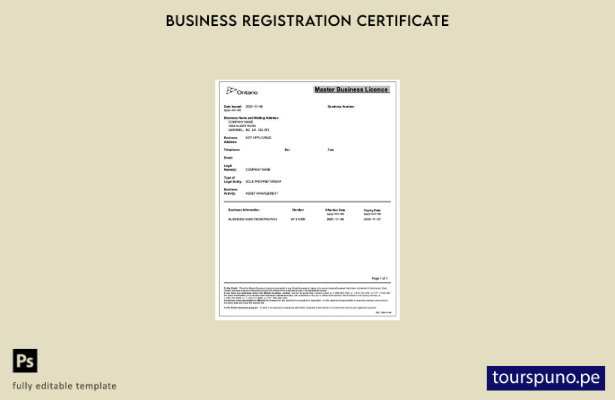 listo para imprimir Plantilla de plantilla de Word y PDF de licencia comercial m