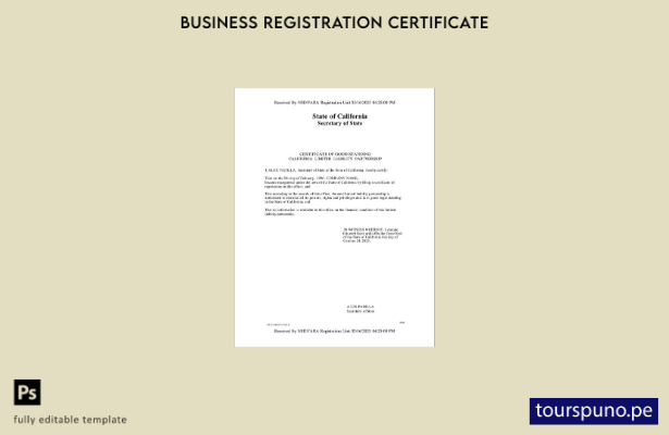 listo para imprimir Plantilla de plantilla de Word y PDF del certificado de bu 6
