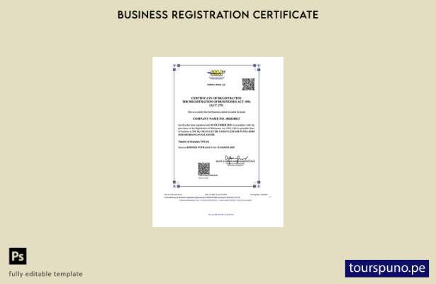 listo para imprimir certificado de registro de Malasia plantilla de plantilla de