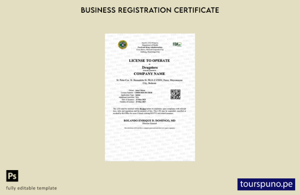 listo para imprimir licencia de Filipinas para operar plantilla de plantilla de