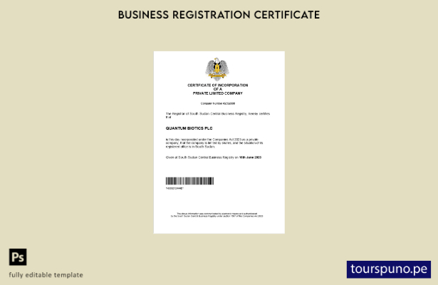 listo para imprimir plantilla de plantilla de Word y PDF del certificado de r 54