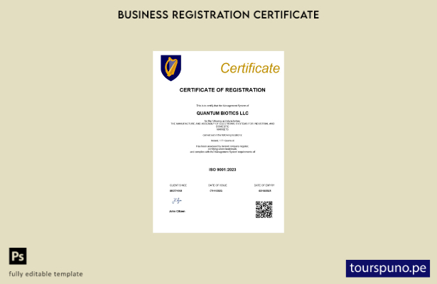 listo para imprimir plantilla de plantilla de certificado de registro de Irlanda