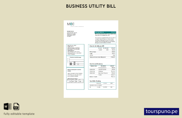 lista para imprimir plantilla de factura de servicios públicos de electricidad 6