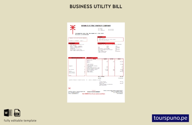 listo para imprimir Benin Electricity Distribution Company Plc. plantilla de fac