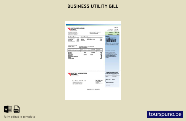 listo para imprimir plantilla de factura de servicios públicos de electricida 11