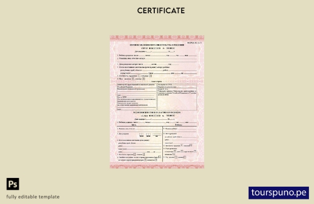 Listo para imprimir Plantilla de certificado de nacimiento del Ministerio de Sal