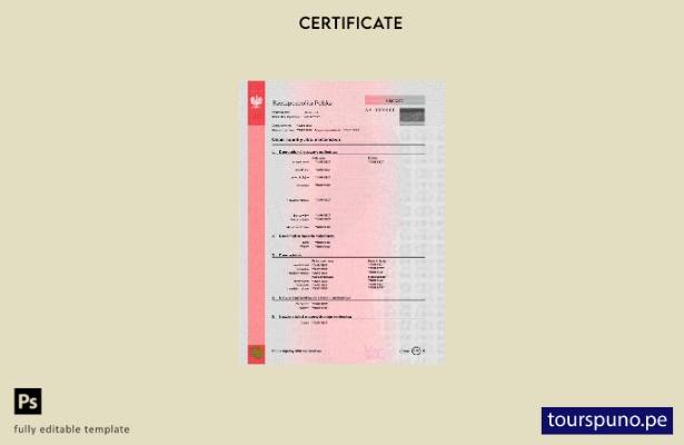 Plantilla PSD de certificado de matrimonio de Polonia lista para imprimir