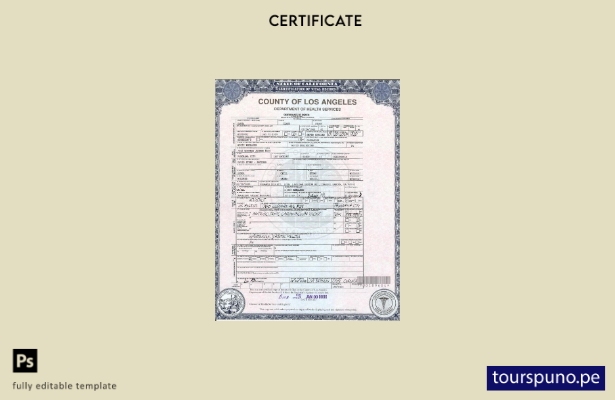 Plantilla de certificado de defunción de EE. UU., California, lista para imprimi