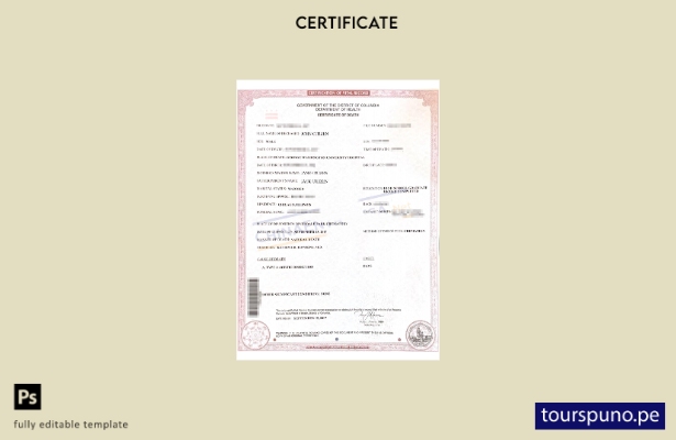 Plantilla de certificado de defunción del distrito de Columbia lista para imprim