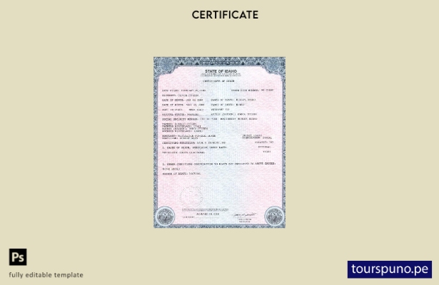 Plantilla de certificado de defunción del estado de Idaho de EE. UU. lista para