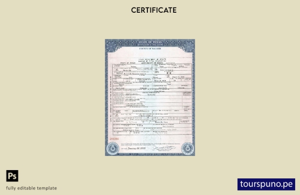 Plantilla de certificado de defunción del estado de Texas de EE. UU. lista para