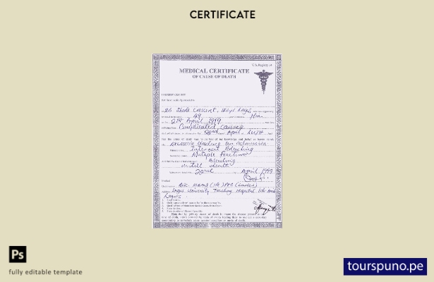 Plantilla de certificado de defunción del hospital docente de la Universidad de