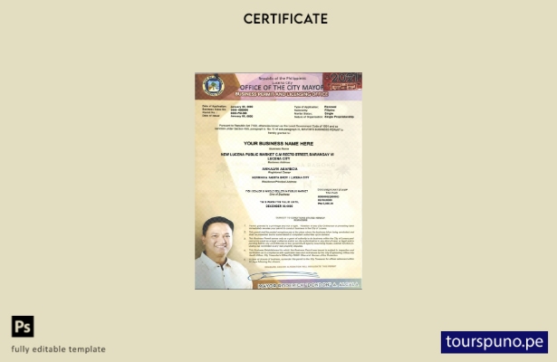 Plantilla de certificado de empresario privado de la ciudad de Lucena de Filipin