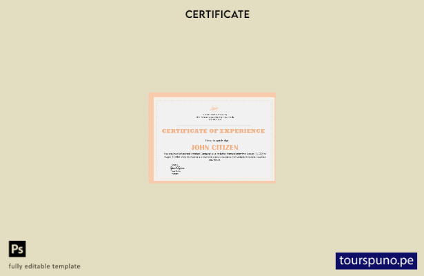 Plantilla de certificado de experiencia de empresa de EE. UU. lista para imprimi