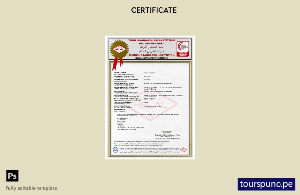 Plantilla de certificado de la Institución de Normas Turca lista para imprimir