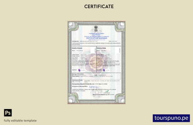 Plantilla de certificado de matrimonio de India lista para imprimir en formato P