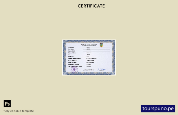 Plantilla de certificado de nacimiento de Ecuador lista para imprimir