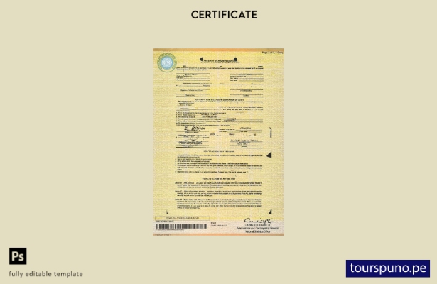 Plantilla de certificado de nacimiento de Filipinas lista para imprimir en forma