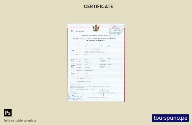 Plantilla de certificado de nacimiento de Zimbabwe lista para imprimir en format