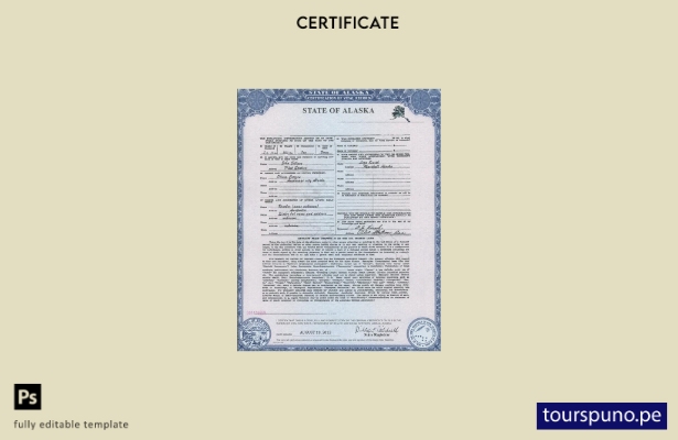 Plantilla de certificado de nacimiento del estado de Alaska de EE. UU. lista par