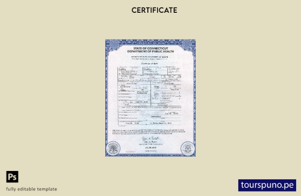 Plantilla de certificado de nacimiento del estado de Connecticut de EE. UU. list