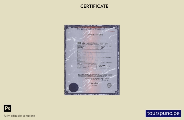 Plantilla de certificado de nacimiento del estado de Massachusetts de EE. UU. li