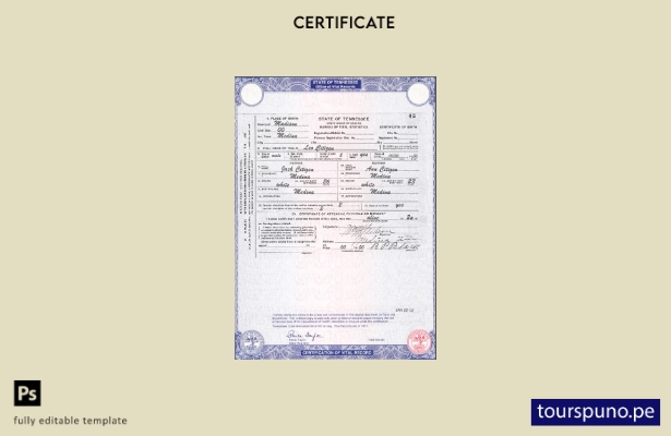 Plantilla de certificado de nacimiento del estado de Tennessee de EE. UU. lista