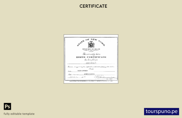 Plantilla de certificado de nacimiento lista para imprimir de la División de Est