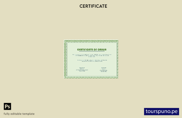 Plantilla de certificado de origen de EE. UU. lista para imprimir