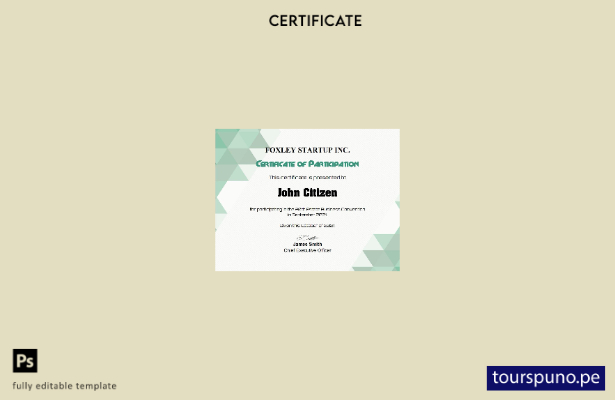 Plantilla de certificado de participación de EE. UU. lista para imprimir