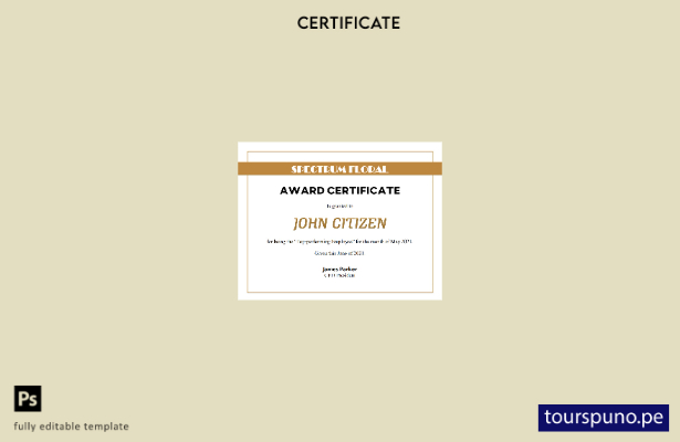 Plantilla de certificado de premio de EE. UU. lista para imprimir