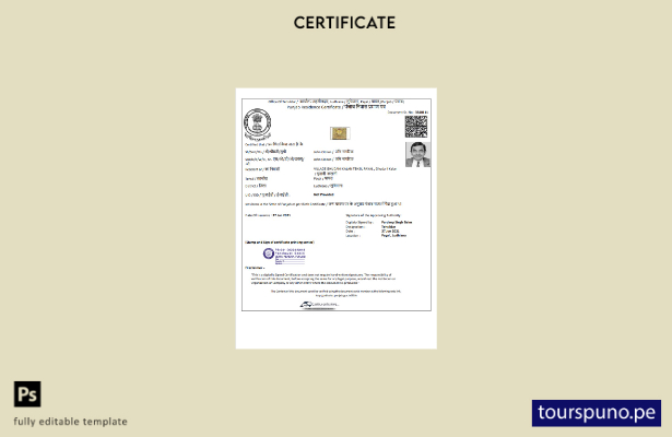 Plantilla de certificado de residencia del Gobierno de Punjab de la India lista