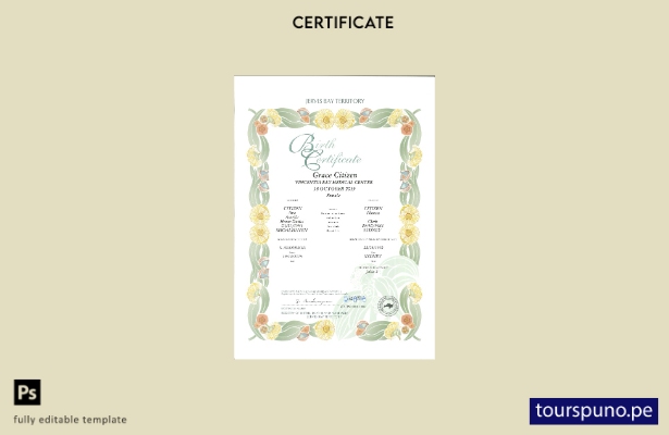 Plantilla decorativa de certificado de nacimiento lista para imprimir en formato