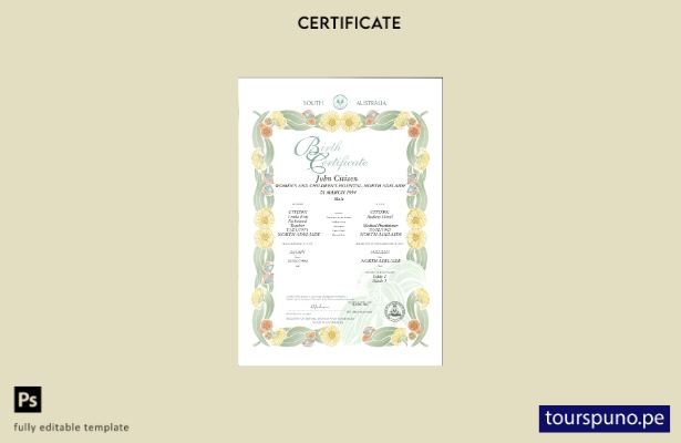 lista para imprimir plantilla de certificado de nacimiento decorativo (conmemora