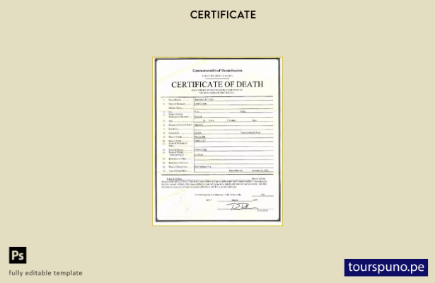 listo para imprimir EE.UU. Commonwealth of Massachusetts los registros de defunc