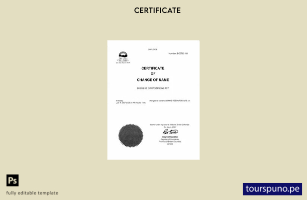 listo para imprimir Plantilla de certificado de cambio de nombre del Registro  1