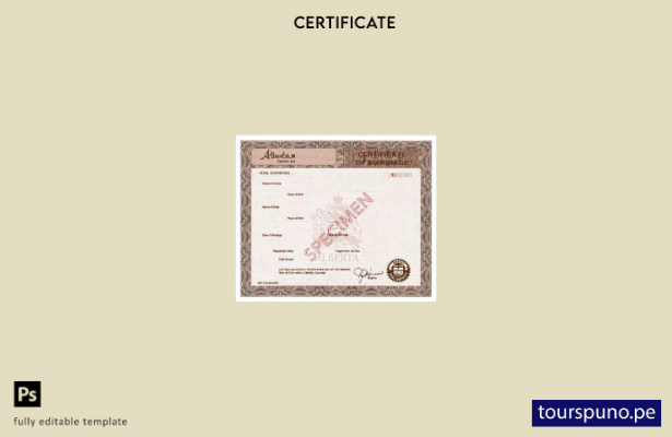 listo para imprimir Plantilla de certificado de matrimonio del Registro Civil de