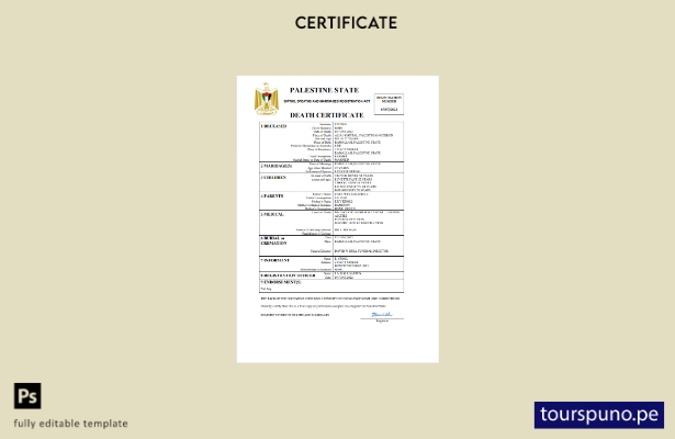 listo para imprimir certificado de defunción del registro civil de Palestina Pla