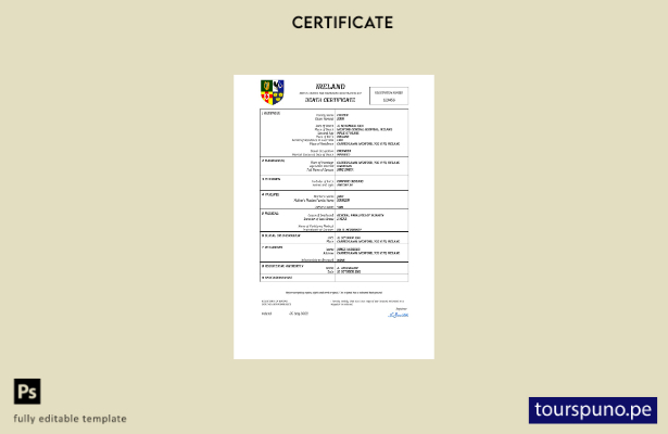 listo para imprimir certificado de desaparición del registro civil de Irlanda Pl