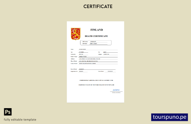 listo para imprimir certificado de función de Finlandia Plantilla en Word y PD